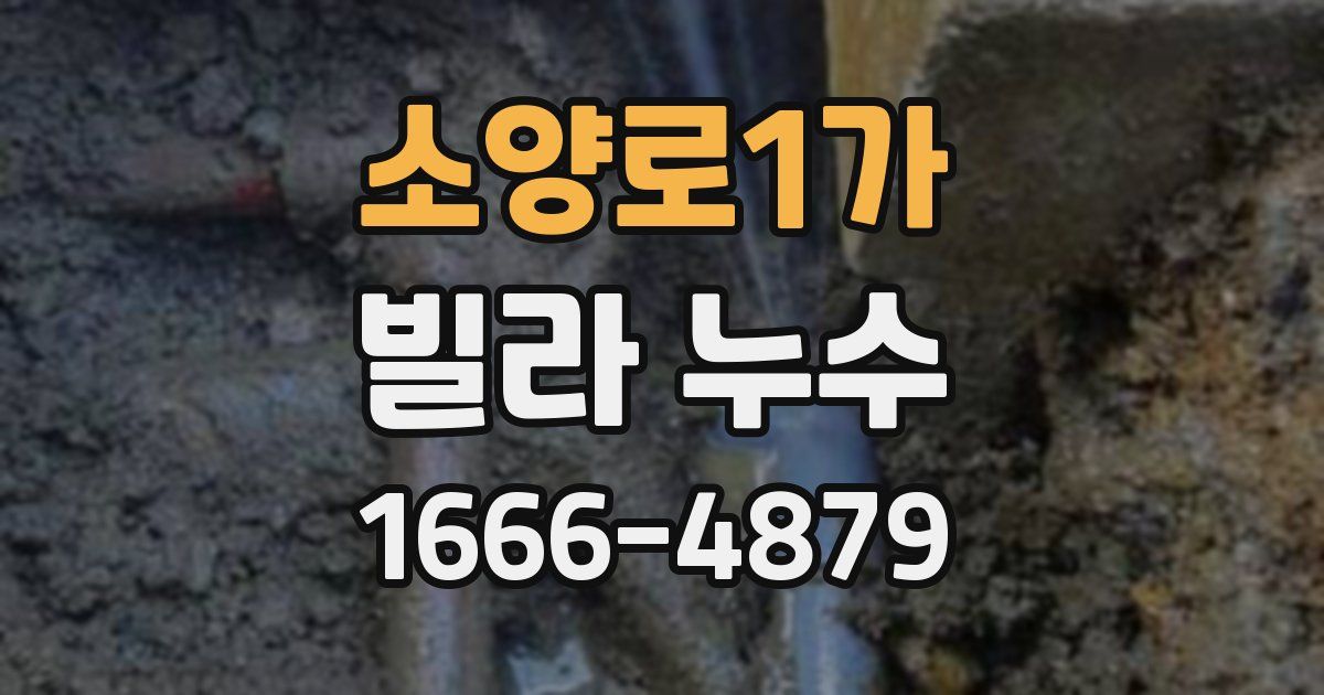 소양로1가 빌라 누수