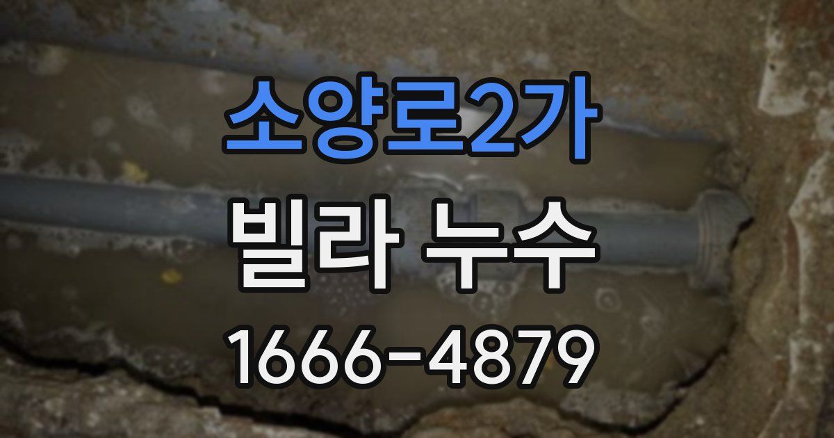 소양로2가 빌라 누수