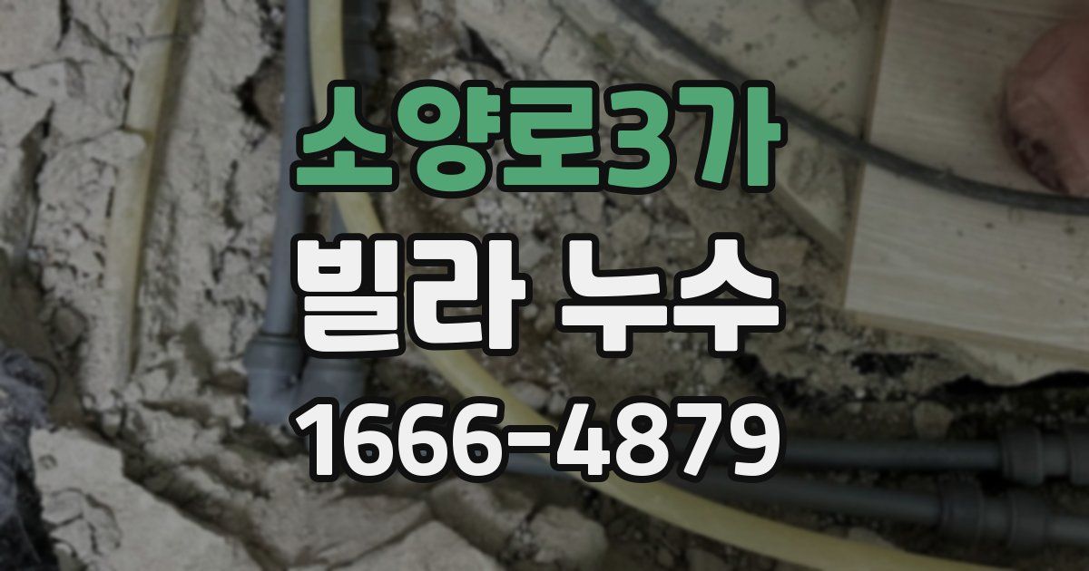 소양로3가 빌라 누수