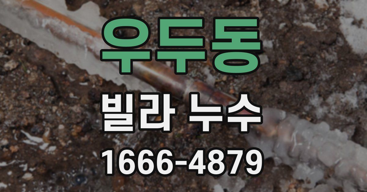 우두동 빌라 누수