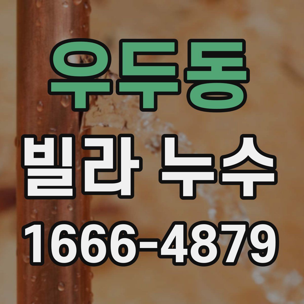 우두동 빌라 누수