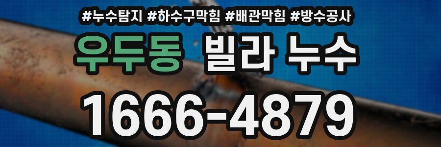 우두동 빌라 누수