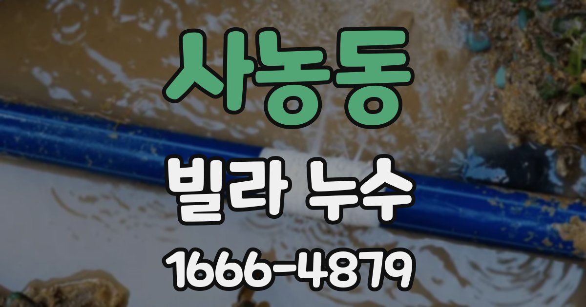 사농동 빌라 누수