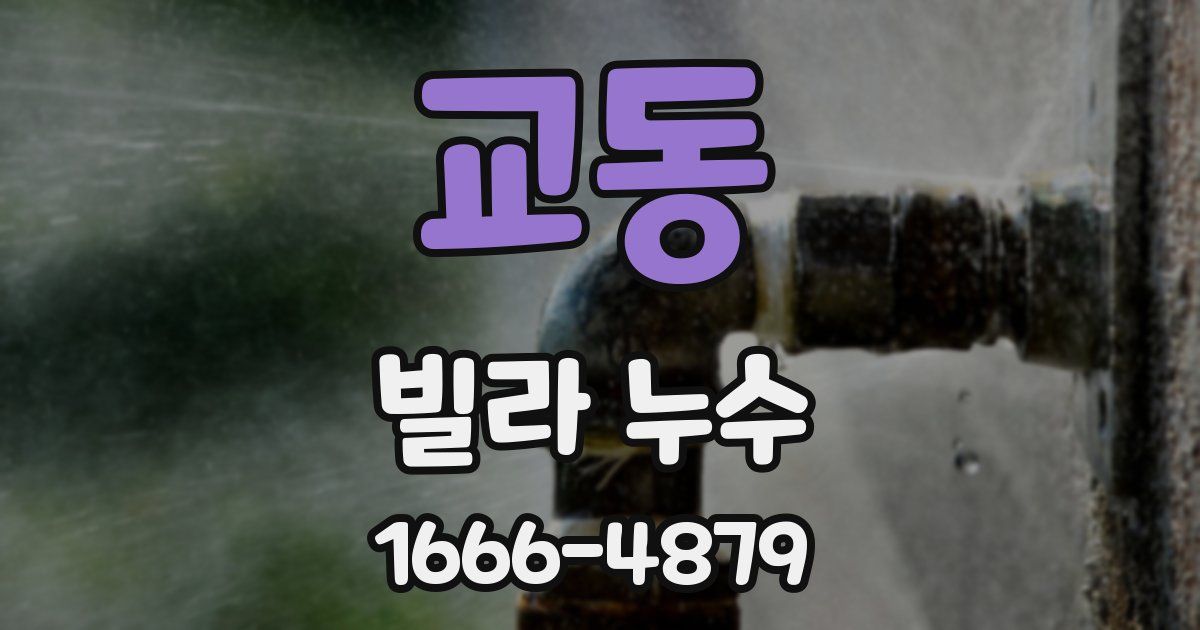 교동 빌라 누수