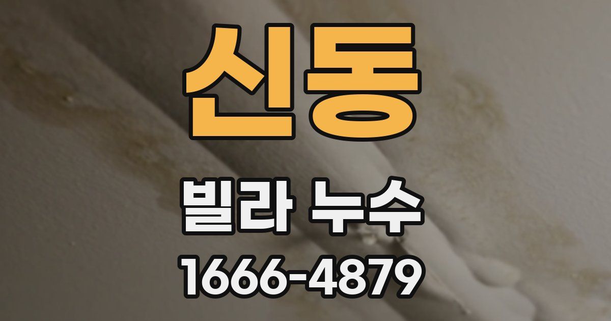 신동 빌라 누수