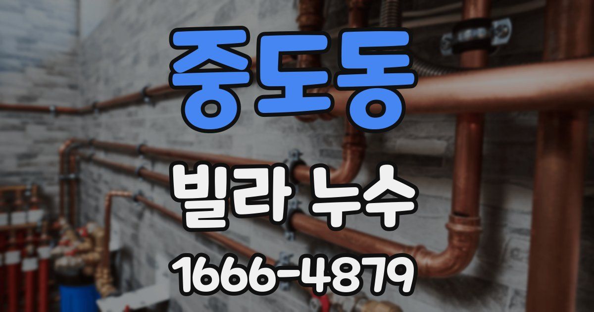 중도동 빌라 누수