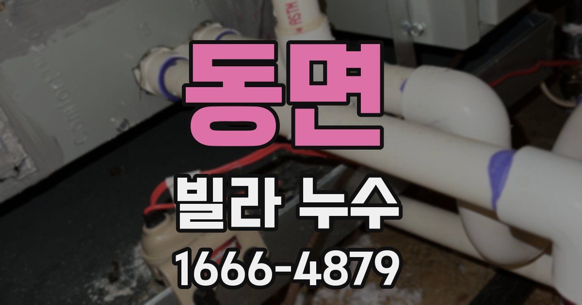 동면 빌라 누수