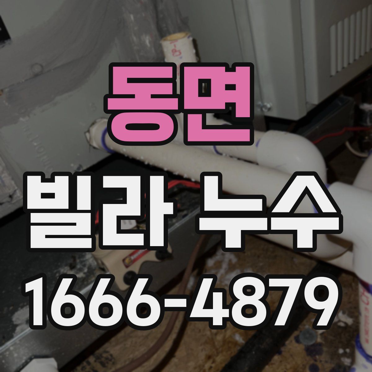 동면 빌라 누수