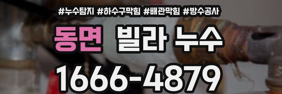 동면 빌라 누수
