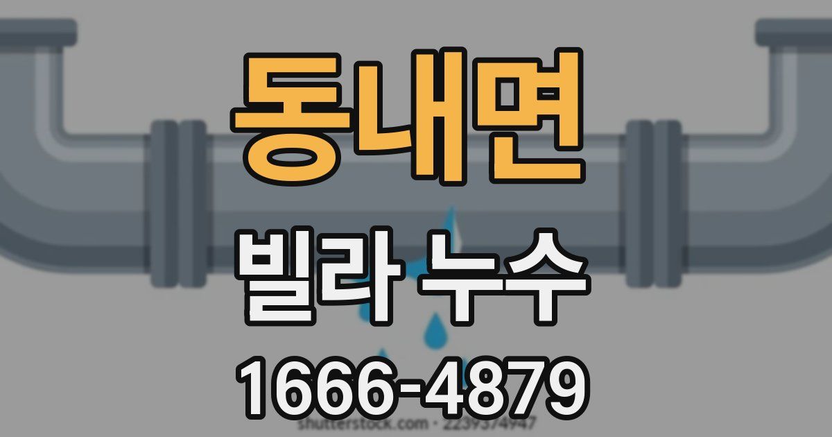 동내면 빌라 누수