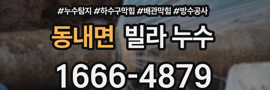 동내면 빌라 누수