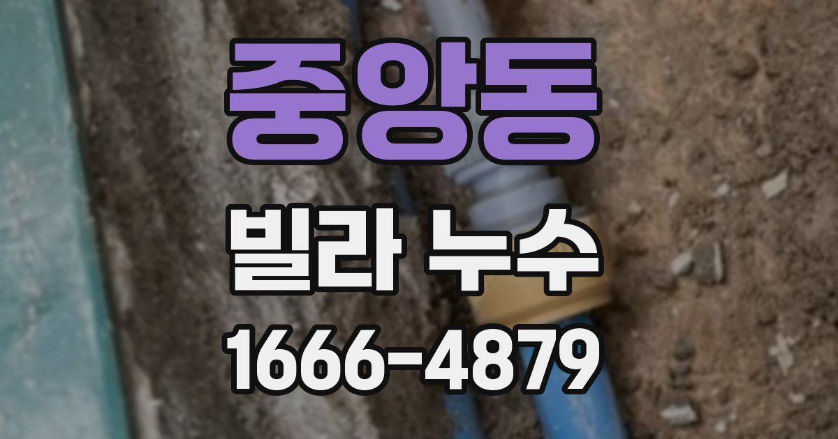 중앙동 빌라 누수