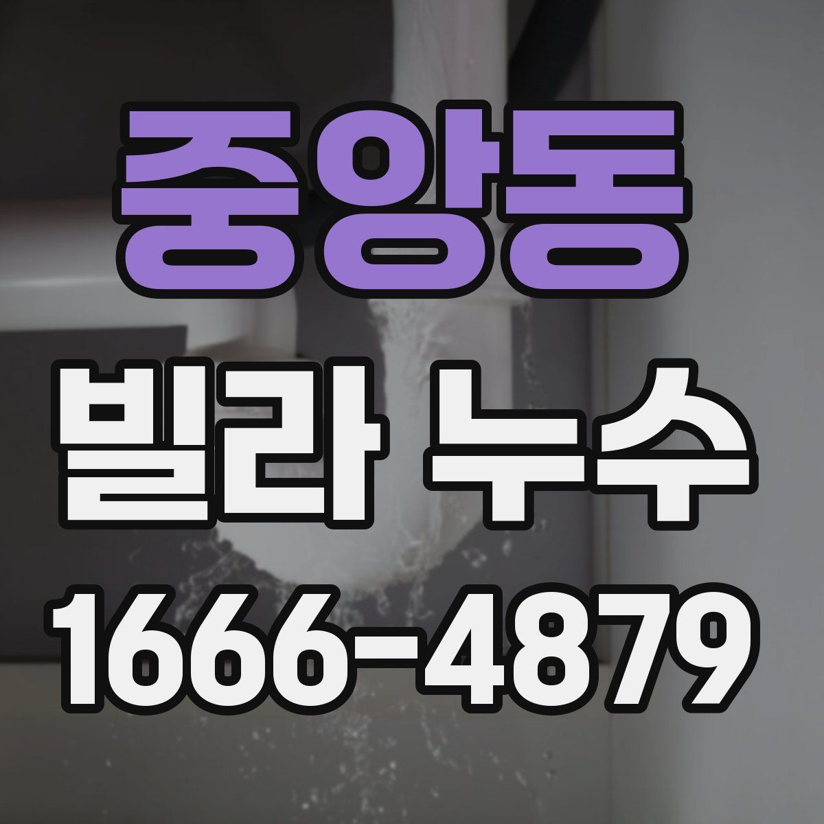 중앙동 빌라 누수