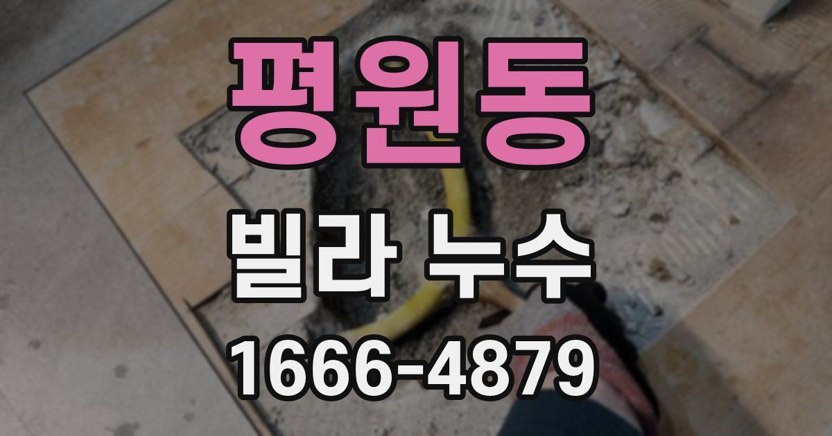 평원동 빌라 누수