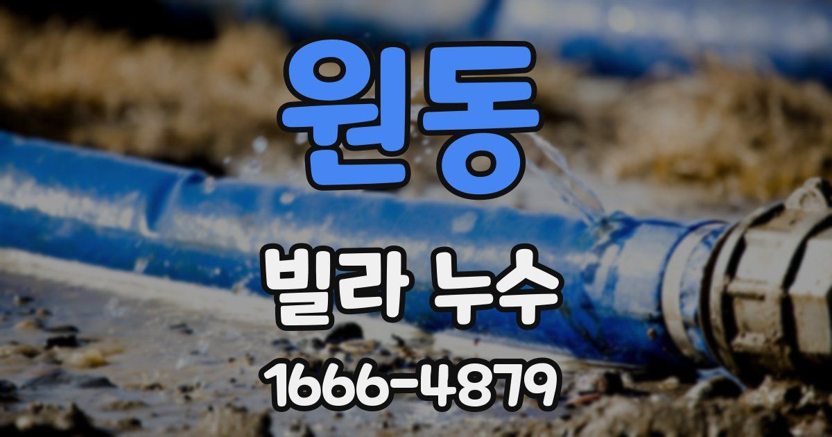 원동 빌라 누수