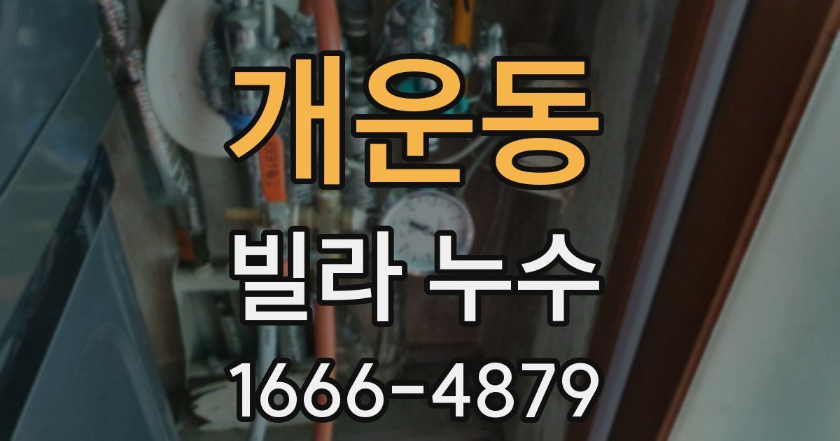 개운동 빌라 누수