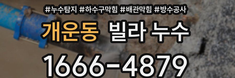 개운동 빌라 누수