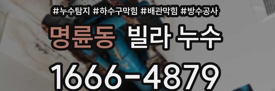 명륜동 빌라 누수