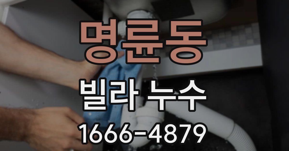 명륜동 빌라 누수