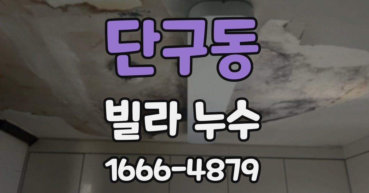 단구동 빌라 누수