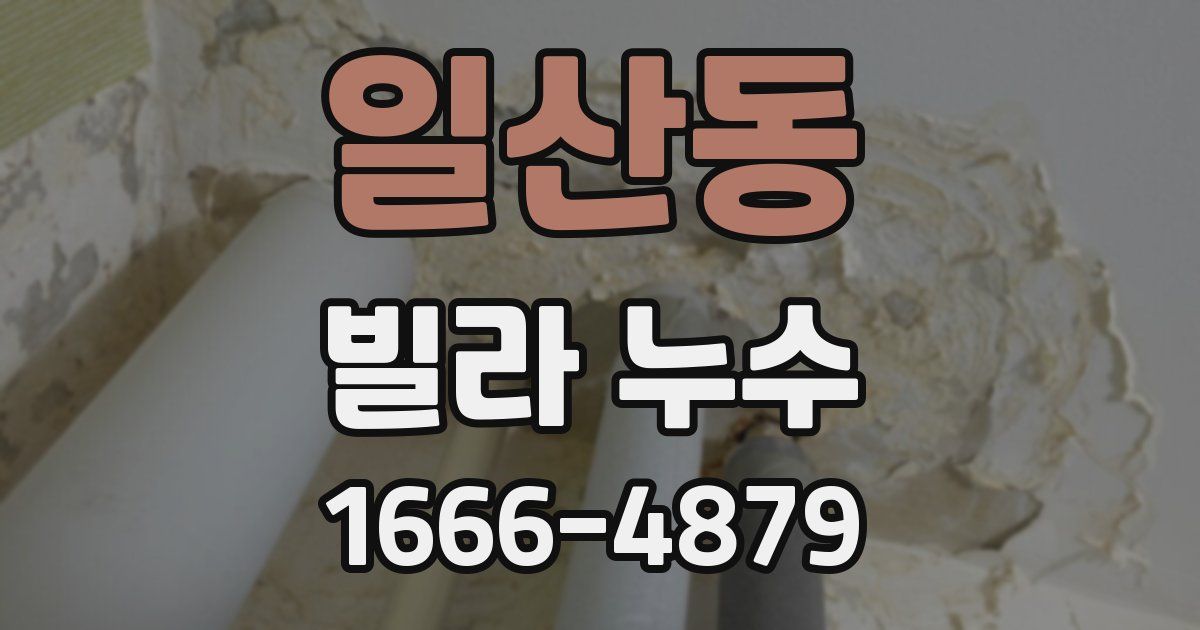 일산동 빌라 누수