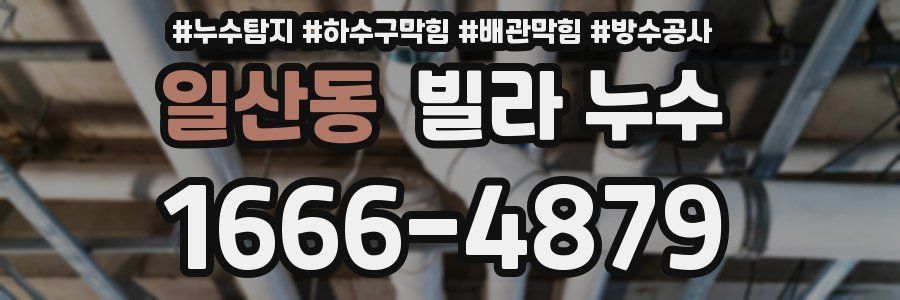 일산동 빌라 누수