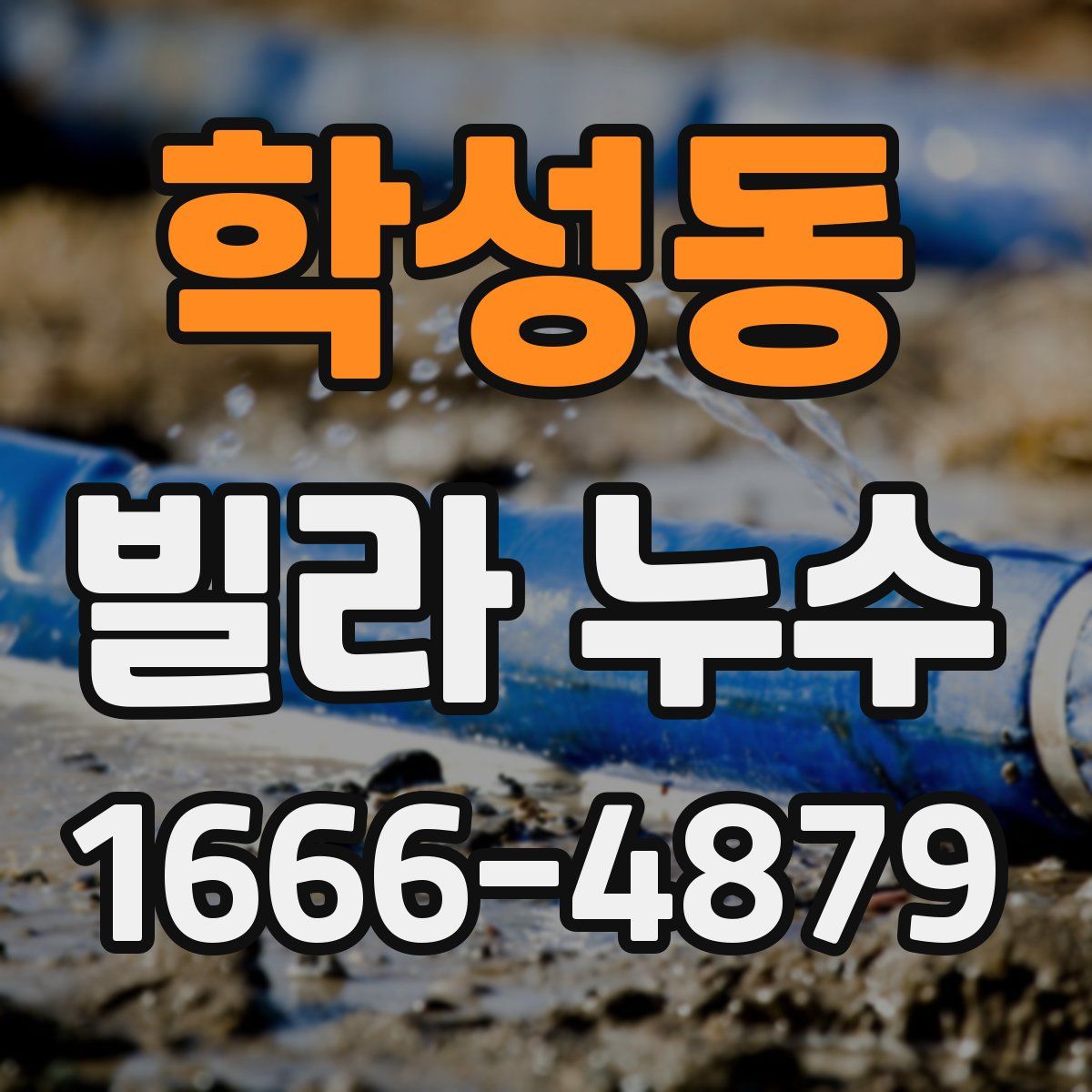 학성동 빌라 누수