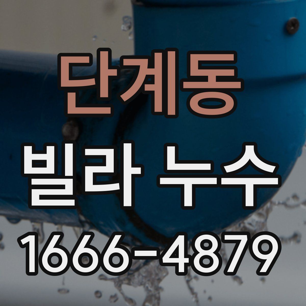 단계동 빌라 누수