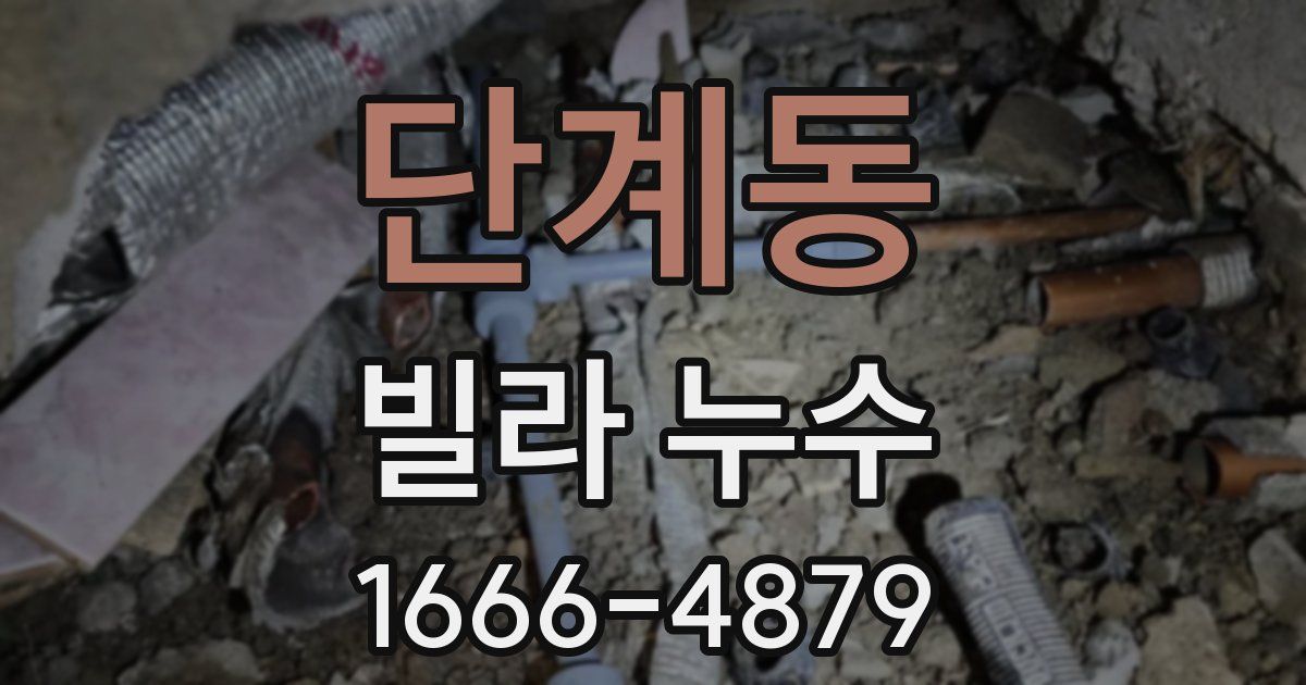 단계동 빌라 누수