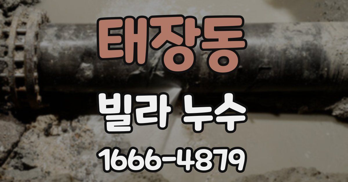 태장동 빌라 누수
