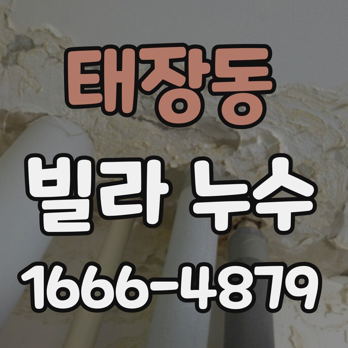 태장동 빌라 누수