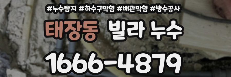 태장동 빌라 누수