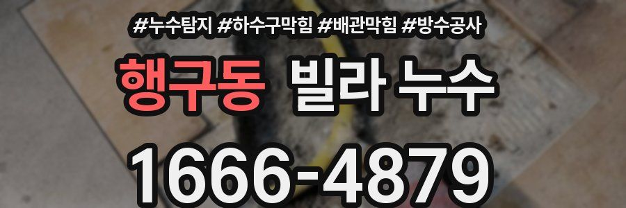 행구동 빌라 누수
