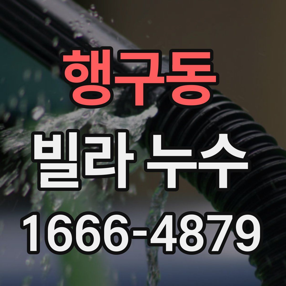행구동 빌라 누수
