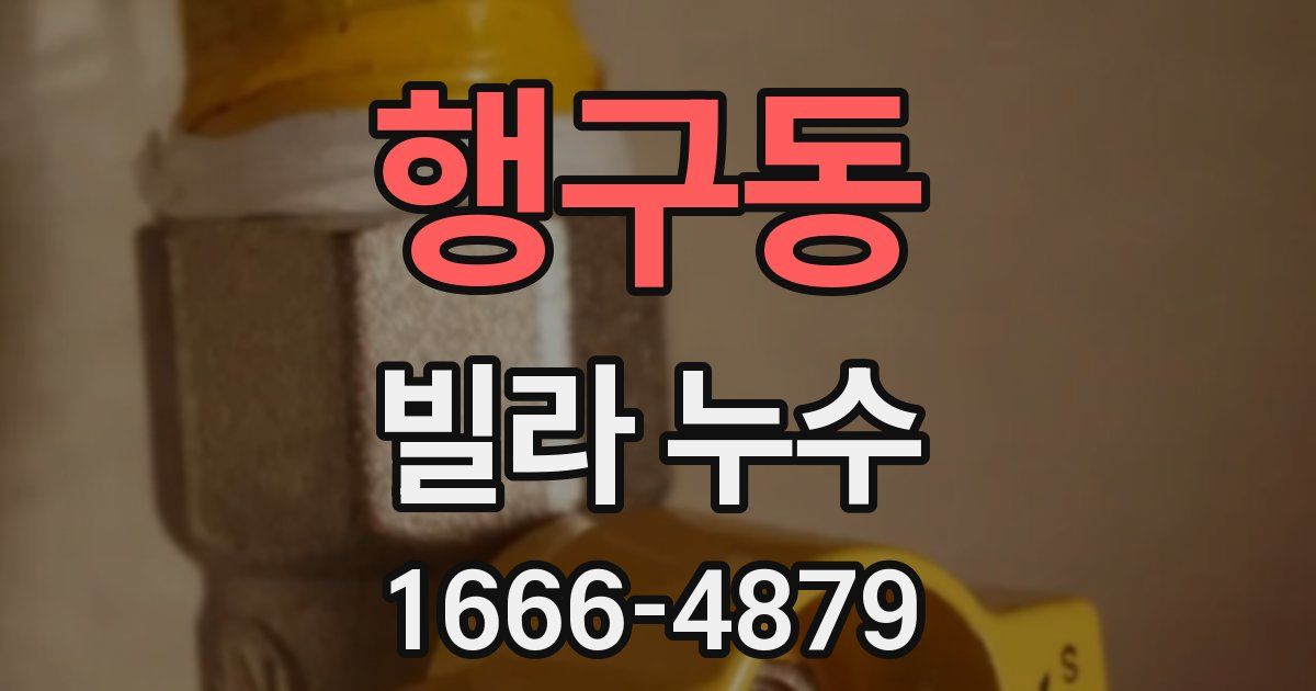 행구동 빌라 누수