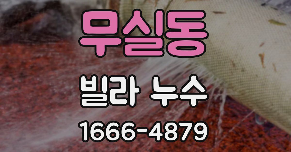 무실동 빌라 누수