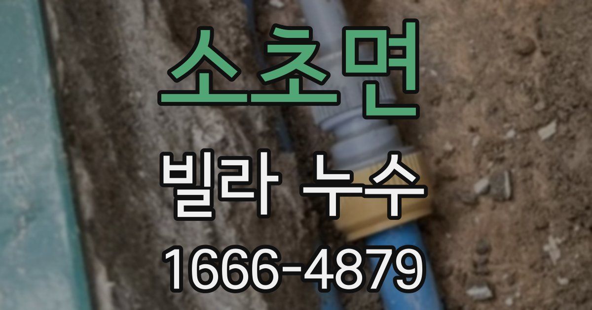 소초면 빌라 누수