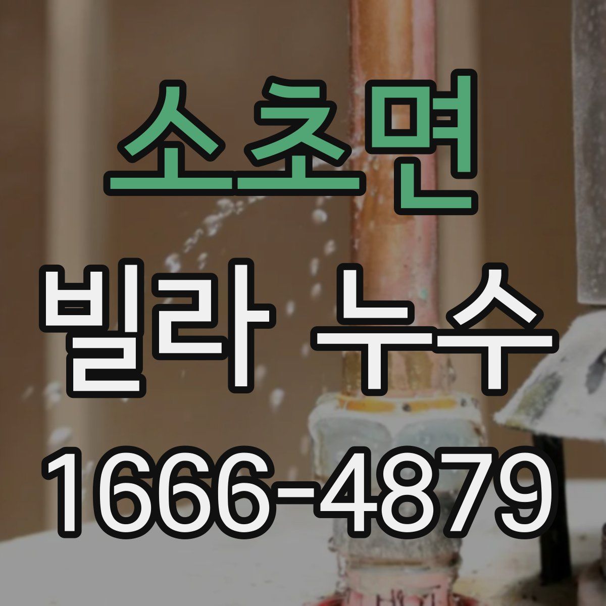 소초면 빌라 누수