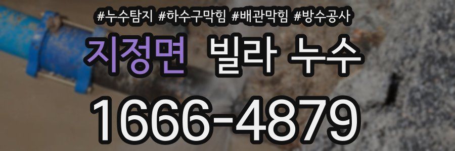 지정면 빌라 누수