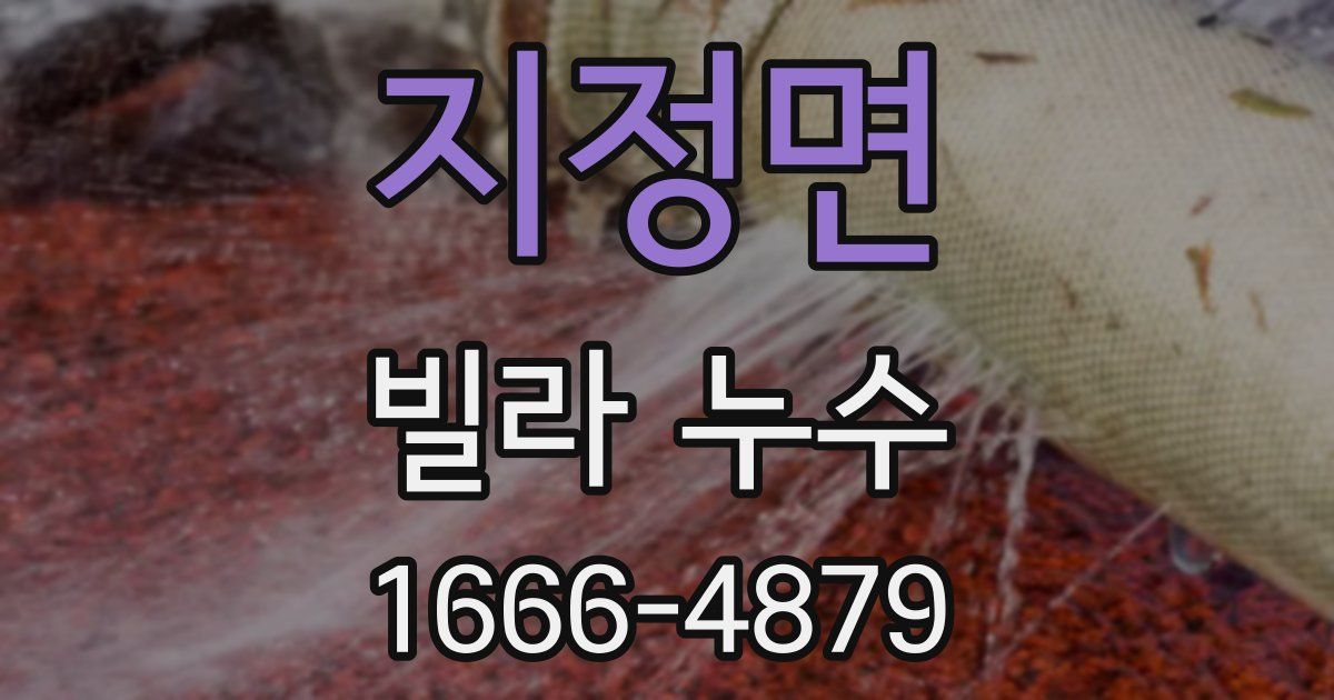 지정면 빌라 누수