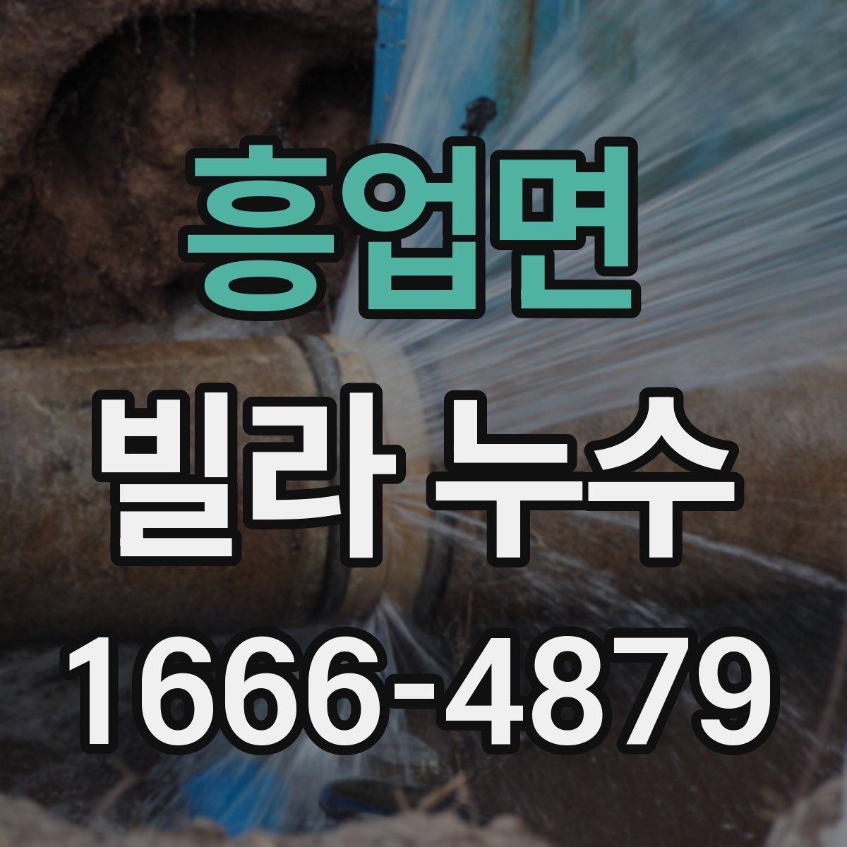 흥업면 빌라 누수