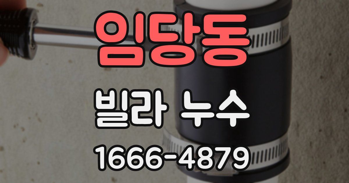 임당동 빌라 누수