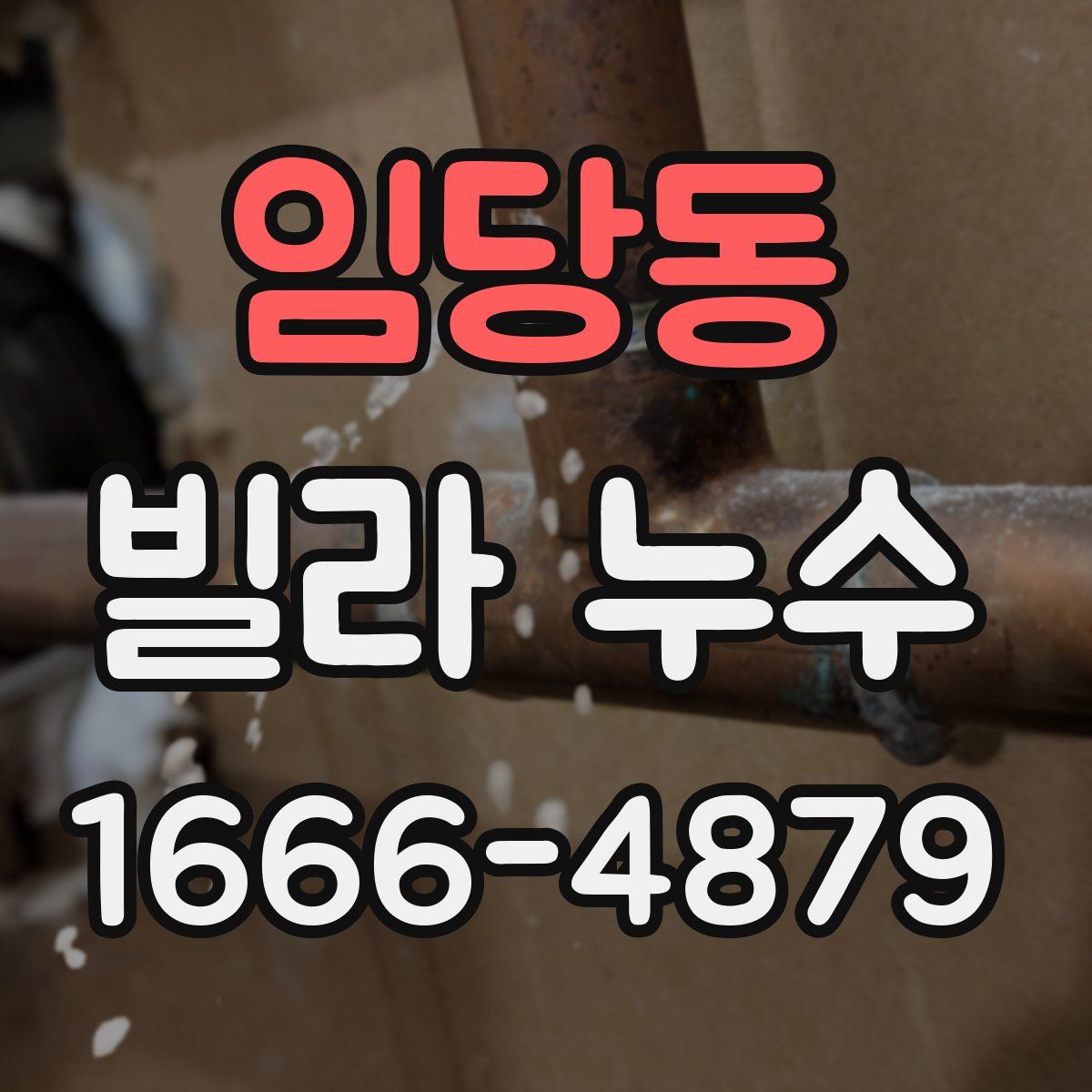 임당동 빌라 누수