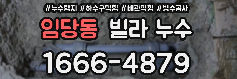 임당동 빌라 누수