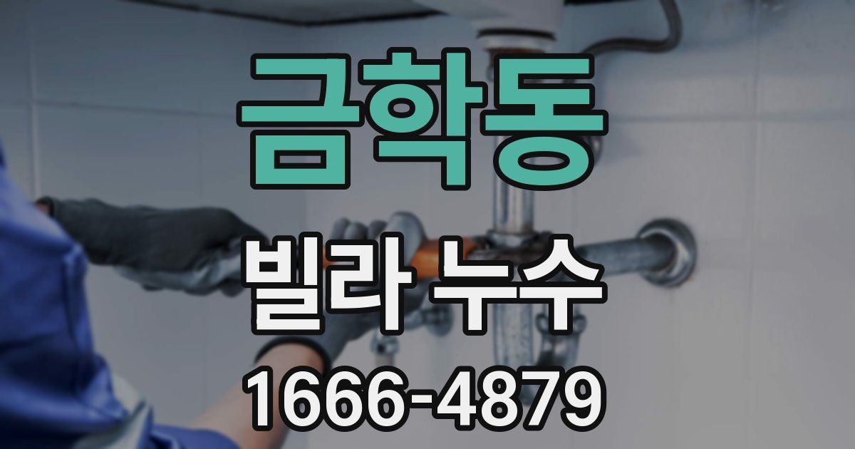 금학동 빌라 누수
