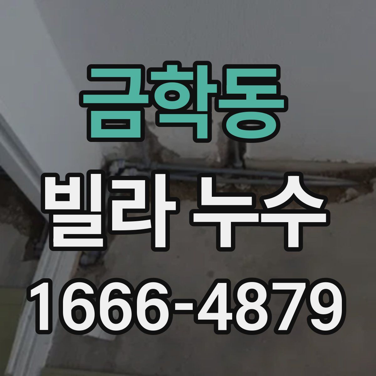 금학동 빌라 누수