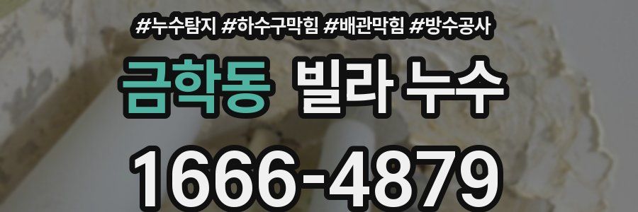 금학동 빌라 누수