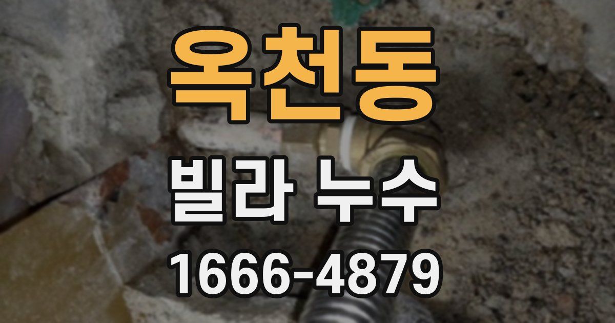 옥천동 빌라 누수