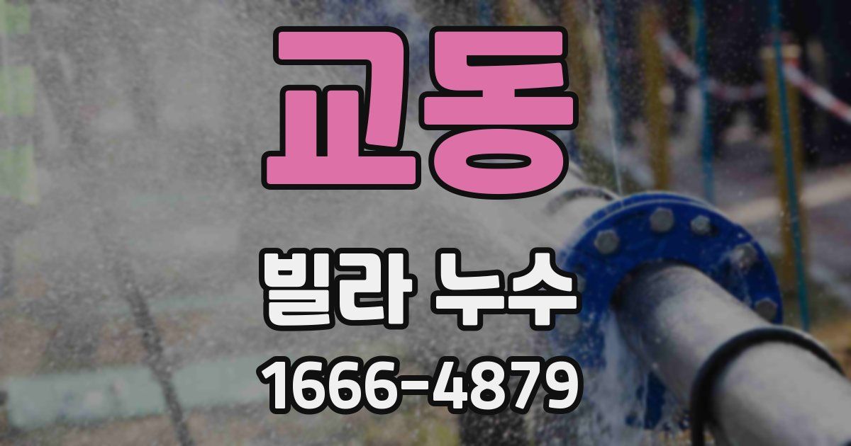 교동 빌라 누수