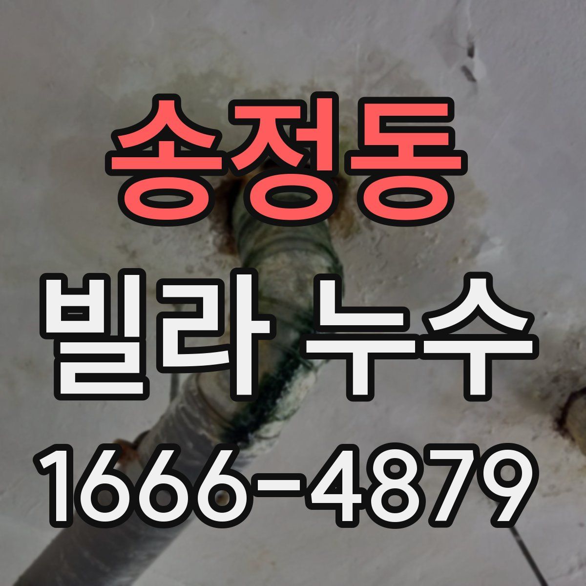 송정동 빌라 누수